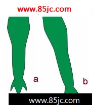 CorelDRAWƼʿͨ_ҳѧwebjx.com