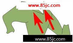 CorelDRAWƼʿͨ_ҳѧwebjx.comת