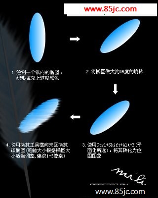 Fireworks教程:简单制作羽毛扇webjx.com