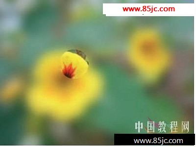 Flash CS3ɣֱӵPSDļ༭-ҳѧ
