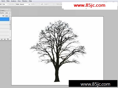 PSϳɽ̳:Ļƻͥг羰-webjx.com