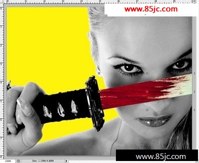 Kill Bill Poster