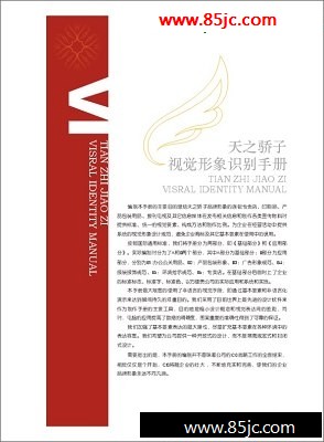 ҾҵƷVI