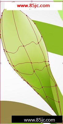 Illustrator̳:ɫҶ_ҳѧwebjx.com