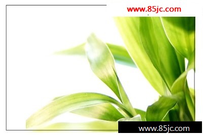 Illustrator̳:ɫҶ_ҳѧwebjx.com