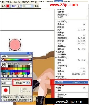 IllustratorҵŮ廭̳